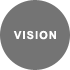 vision